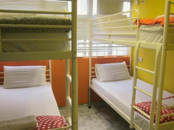 Single Bed 4-Bed Dormitory Room
